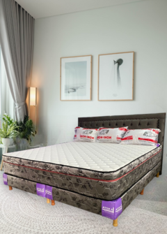 sommier salud 200x200*31cm espuma