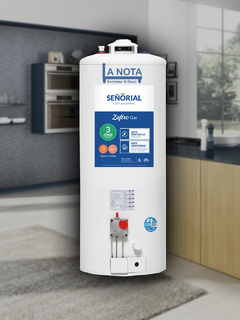 Termotanque a gas 85 LTS