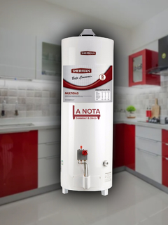 Termotanque electrico 85LTS