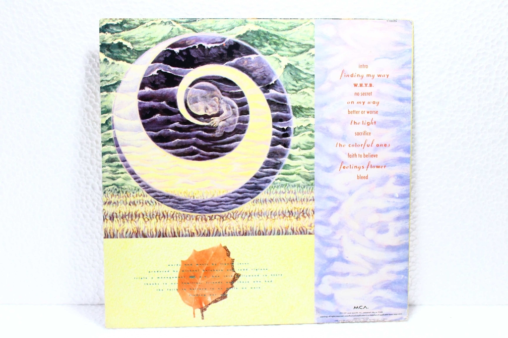 Lp Vinil Liquid Jesus Pour In The Sky