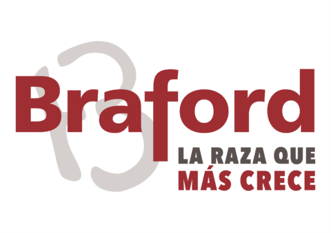 Tienda Oficial Asociacion Braford Argentina