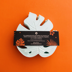 Portavasos Hoja Monstera 3D - comprar online
