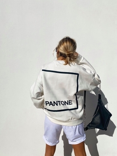 BUZO PANTONE FRIZA