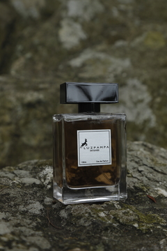 Perfume Intense Hombre - comprar online