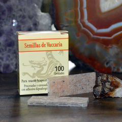 CAJA SEMILLAS VACCARIA