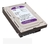 HD 1TB Sata Purple WD10PURZ Western Digital na internet