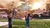 Sports Champions - Game Usado - comprar online