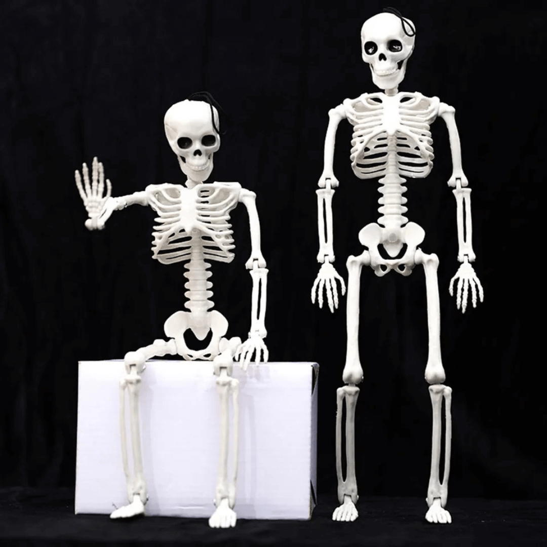 Caveira esqueleto