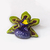 Flor de la Orquidea Misiones