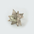 Flor Estrella Federal Tucuman - comprar online