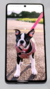 Samsung Galaxy A71 128 Gb Prism Crush Black 6 Gb Impecable (copia)