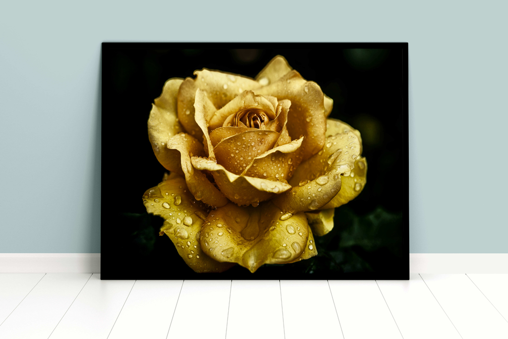 Quadro Flor Dourada - Comprar em Hope Artes em Quadros
