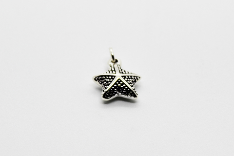 Dije estrella de mar