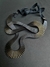 Collar Panal corto - comprar online