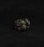 Anillo Bolson