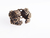 Anillo Bolson