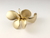 Anillo Moneda - tienda online