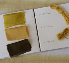 amostra de cores macela curso iniciação ao tingimento natural Fernanda Mascarenhas