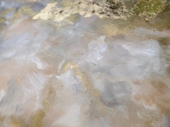 OBRA GOLD CLOUD-SOLD OUT- en internet