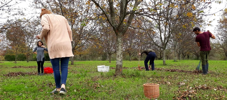 La Finca, cosecha comunitaria