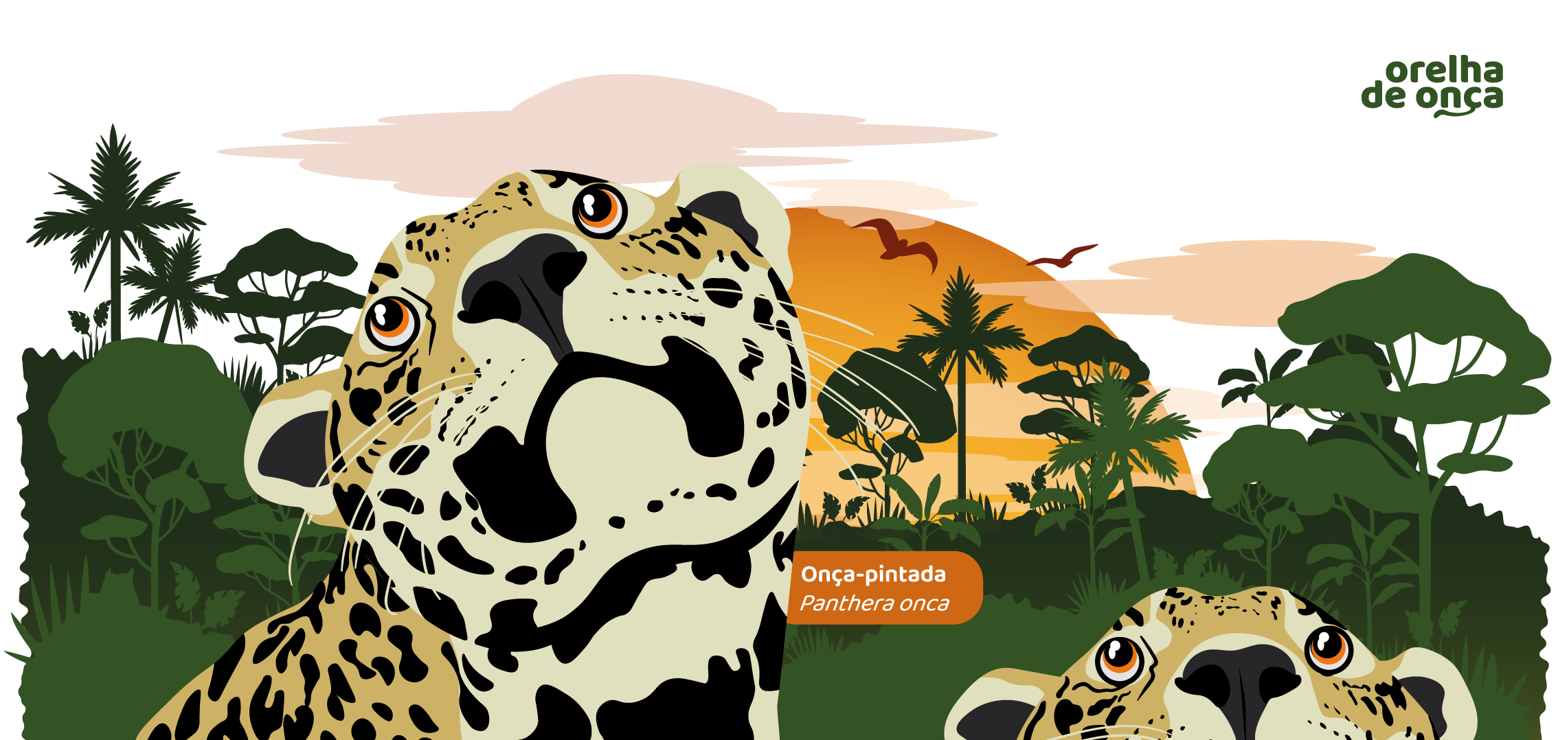 Estampa Onça-pintada