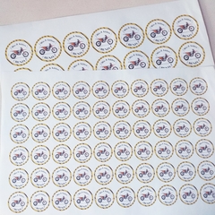 1 plancha de stickers A3