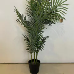 PLANTA SLIM STYLE ARECA TREE DECO