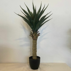 PLANTA DELUXE ARECA PALM