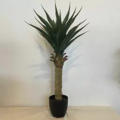 PLANTA DELUXE ARECA PALM