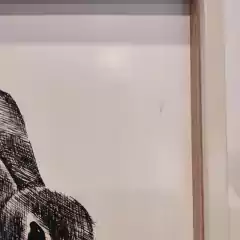 CUADRO ANIMAL en internet