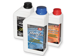 CURADOR MERCLIN
