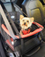 Transpet Grande Assento para Cães e Gatos Tubline - comprar online