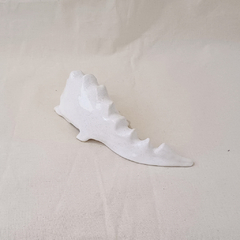 Dinosaurio Blanco Jaspeado - Natalí Zarankin . Mapache Indio
