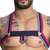 Harness Pink 001