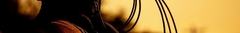 Banner da categoria Selaria