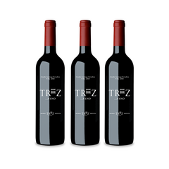 BOX TREZ A UNO MALBEC - comprar online