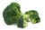 Brocoli x 2 Und