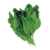 Acedera - 120g