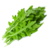 RUGULA VERDE