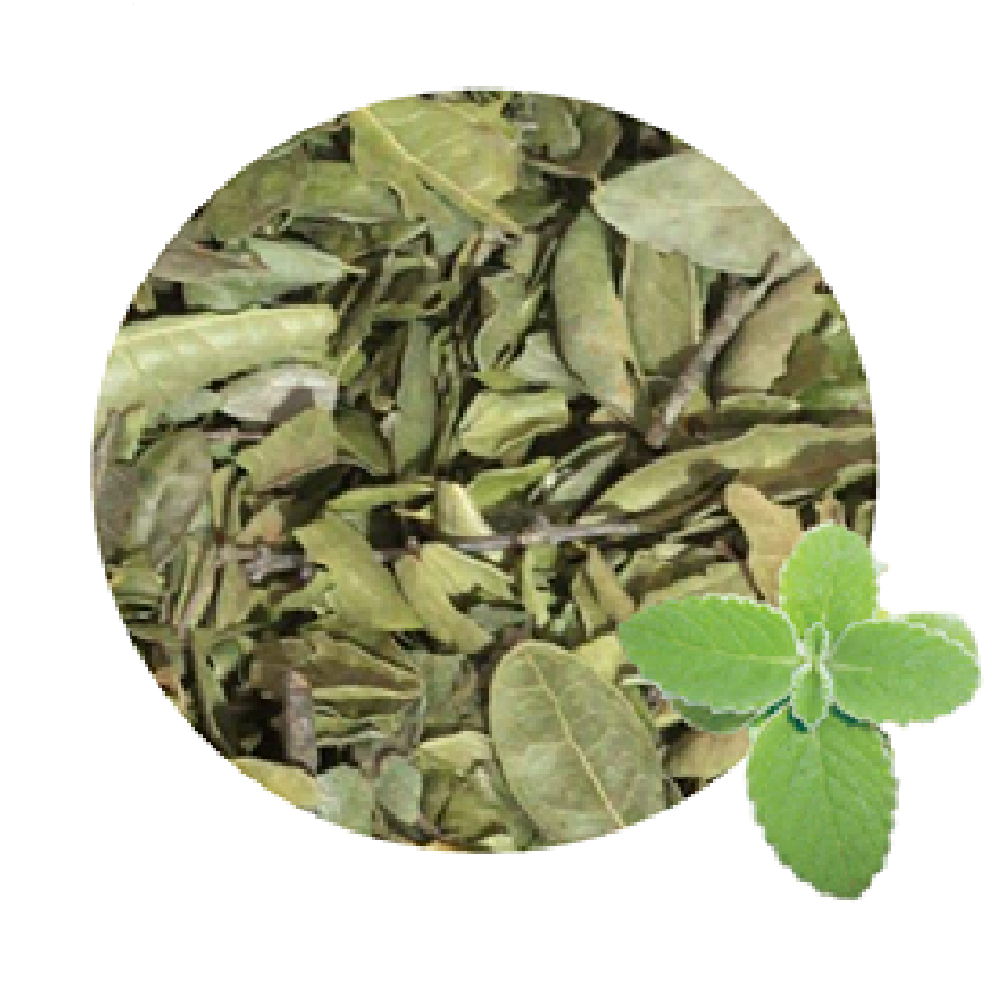 Boldo hojas secas Comprar en Productos QI