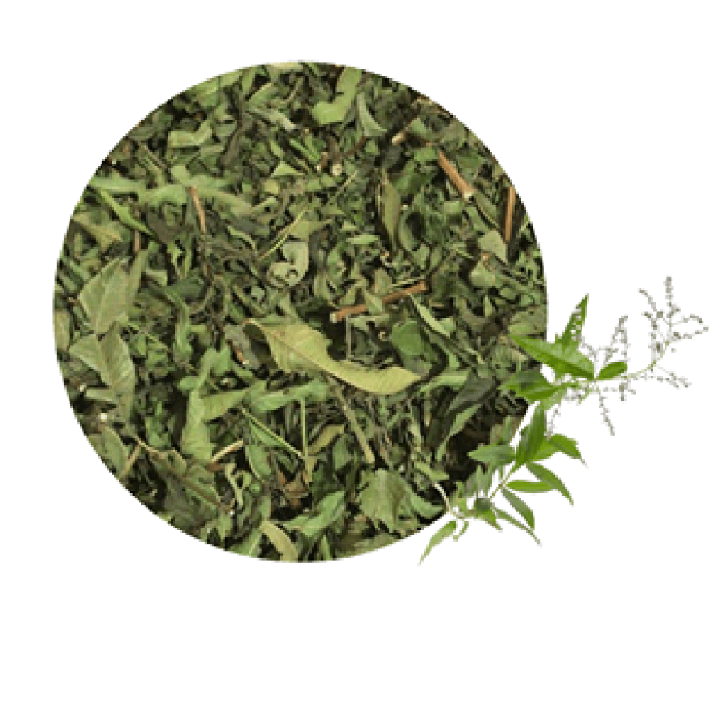 Cedrón planta seca Comprar en Productos QI