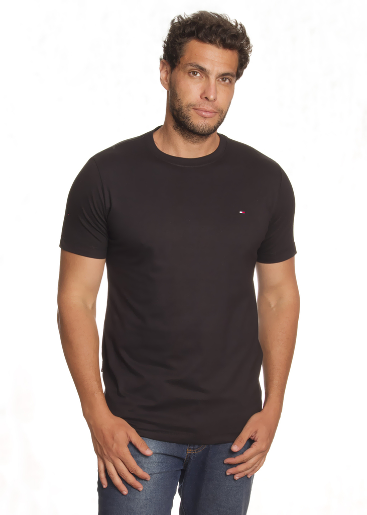 tommy camiseta basica