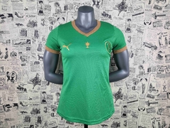 Camisa Palmeiras 22/23 - comprar online