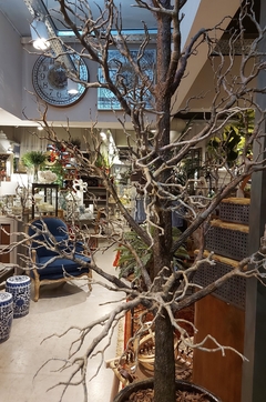 árbol marron seco
