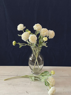 Vara de Ranunculus blanco