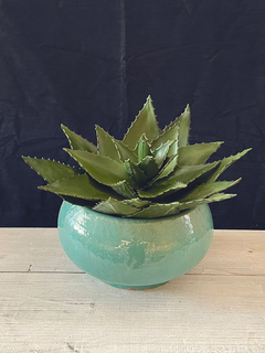 Pick de Aloe