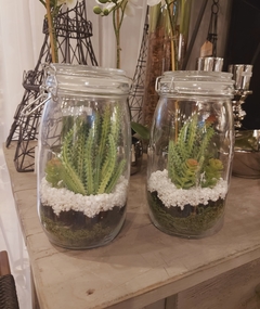 Frasco terrario c/tapa