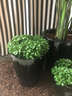 Maceta Cilindrica Ceramica Negra L