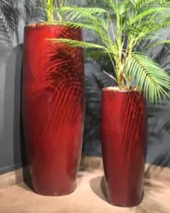 Timbal Rojo M