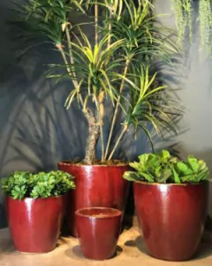 Macetero Bombe Rojo S